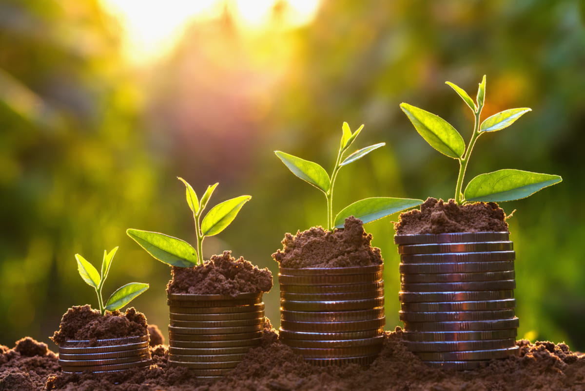 Coins with growing plants on them