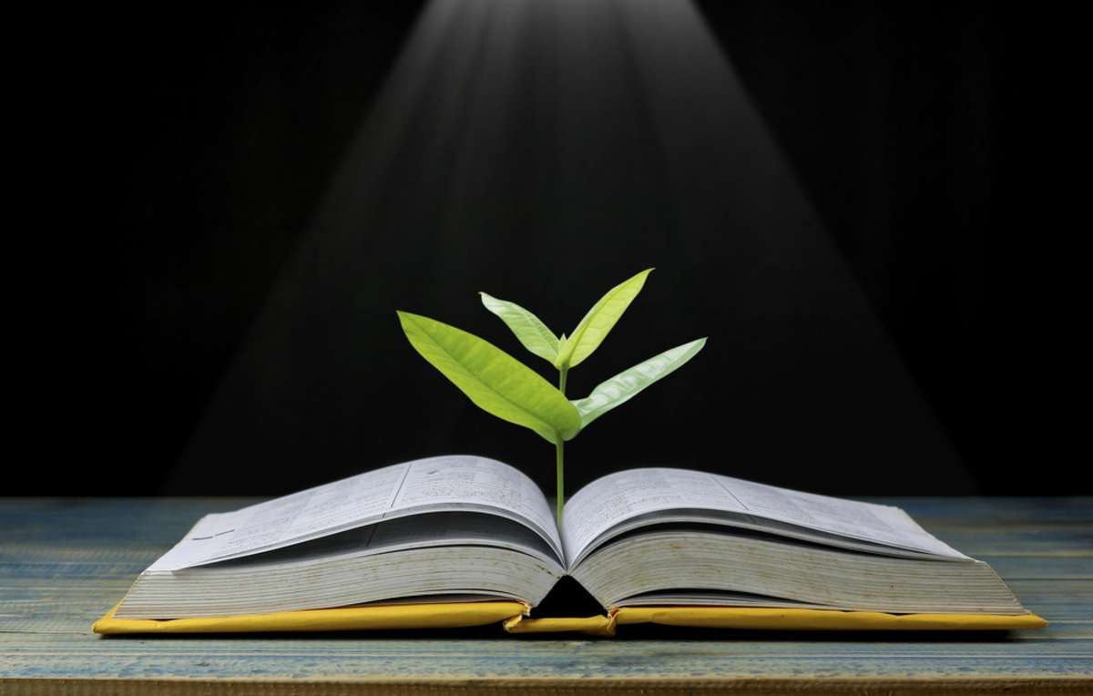 Open book with a plant growing from the pages, commercial real estate investing strategies concept