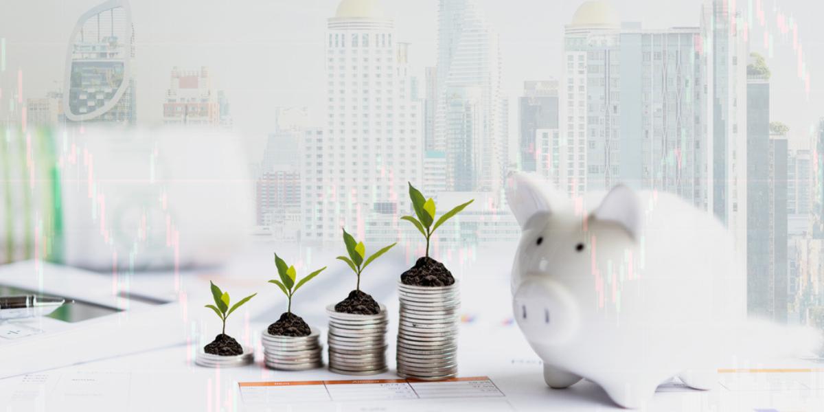 Piggy and the tree growing on money coin stack for investment and saving with financial report of investor real estate business